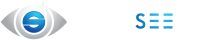 cropped-Logo_DataSeers1w.png